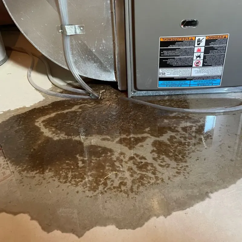Pipe Burst and Leak Restoration in Culebra, PR