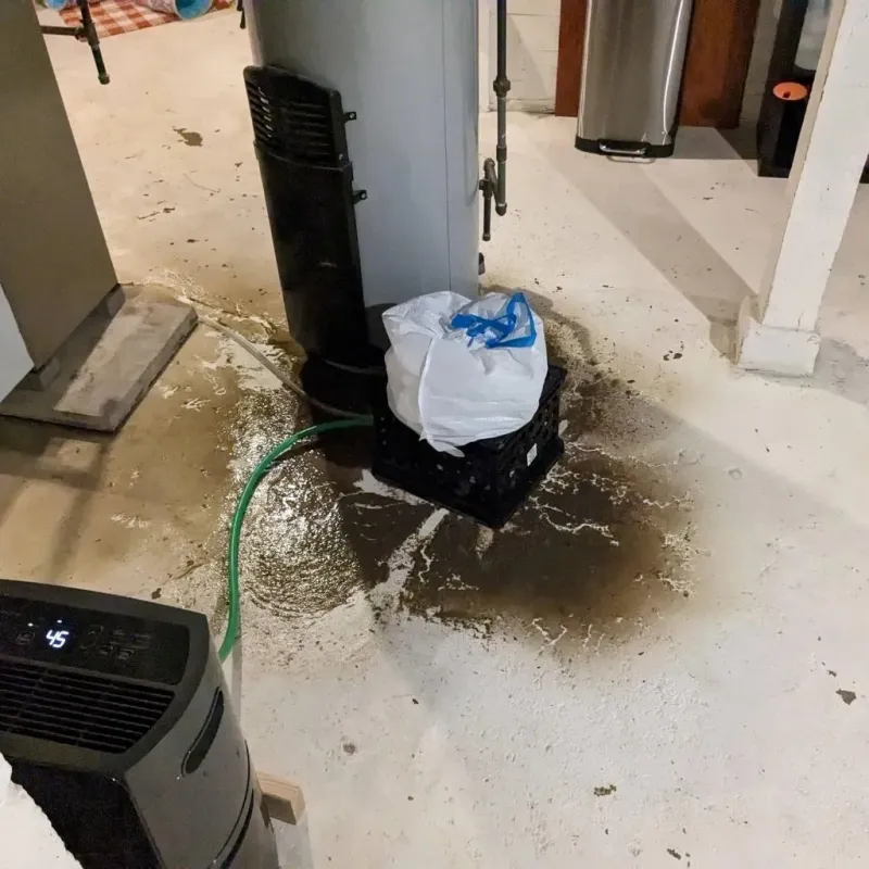 Sewage Backup Cleanup Service in Culebra, PR